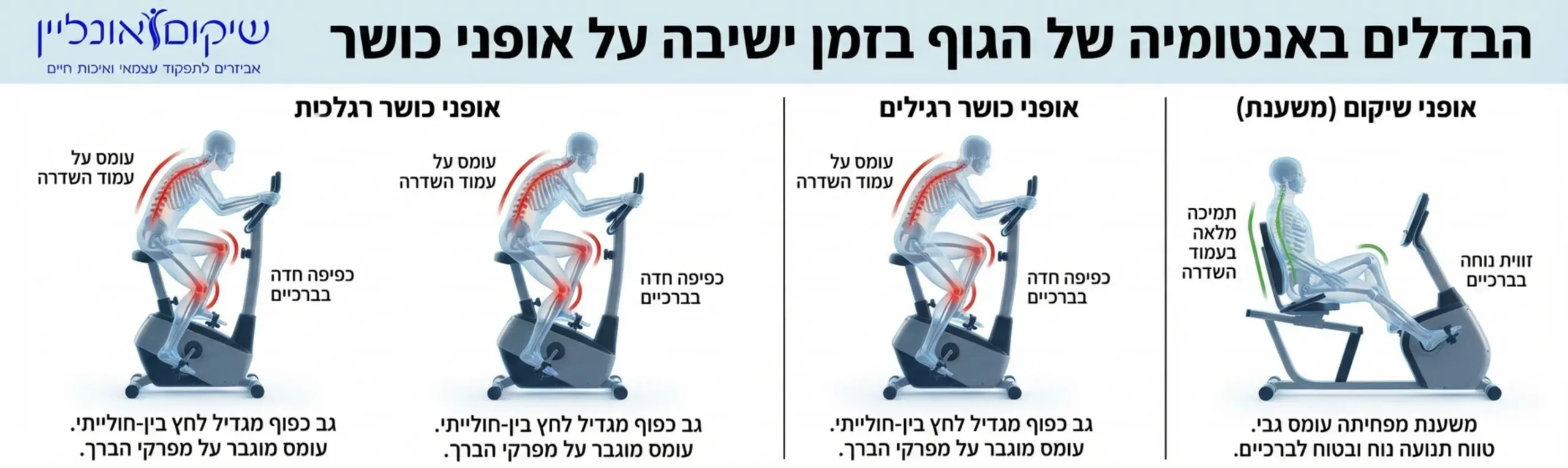 אינפוגרפיקה המציגה את ההבדלים באנטומיה של הגוף בזמן ישיבה על אופני כושר רגילים לעומת אופני שיקום עם משענת, תוך דגש על עמוד השדרה והברכיים