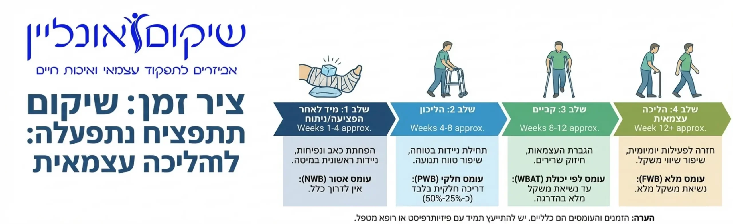 אינפוגרפיקה המציגה את ציר הזמן של תהליך שיקום גפיים תחתונות מהרגע שלאחר הפציעה ועד להליכה עצמאית כולל המעבר ההדרגתי מהליכון לקביים ולבסוף למקל הליכה תוך ציון העומס המותר על הרגל בכל שלב