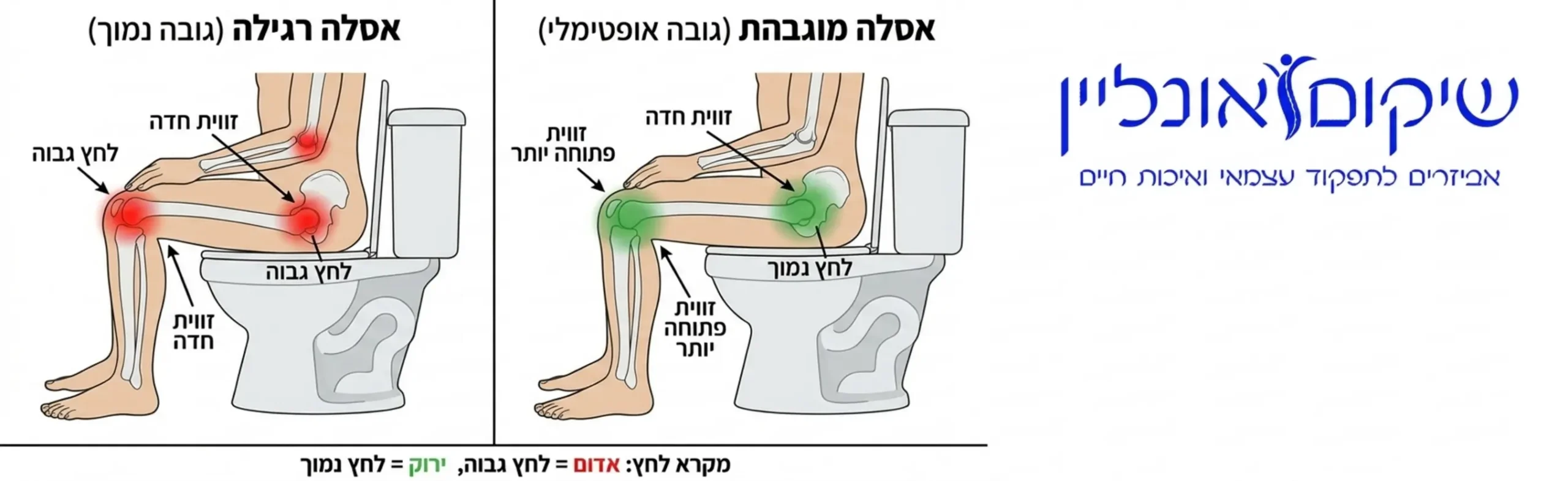 אינפוגרפיקה המציגה את הזוויות של הברכיים והאגן בזמן ישיבה על אסלה רגילה לעומת ישיבה על אסלה עם הגבהה, תוך סימון הלחץ המופעל על המפרקים בצבע אדום מול ירוק
