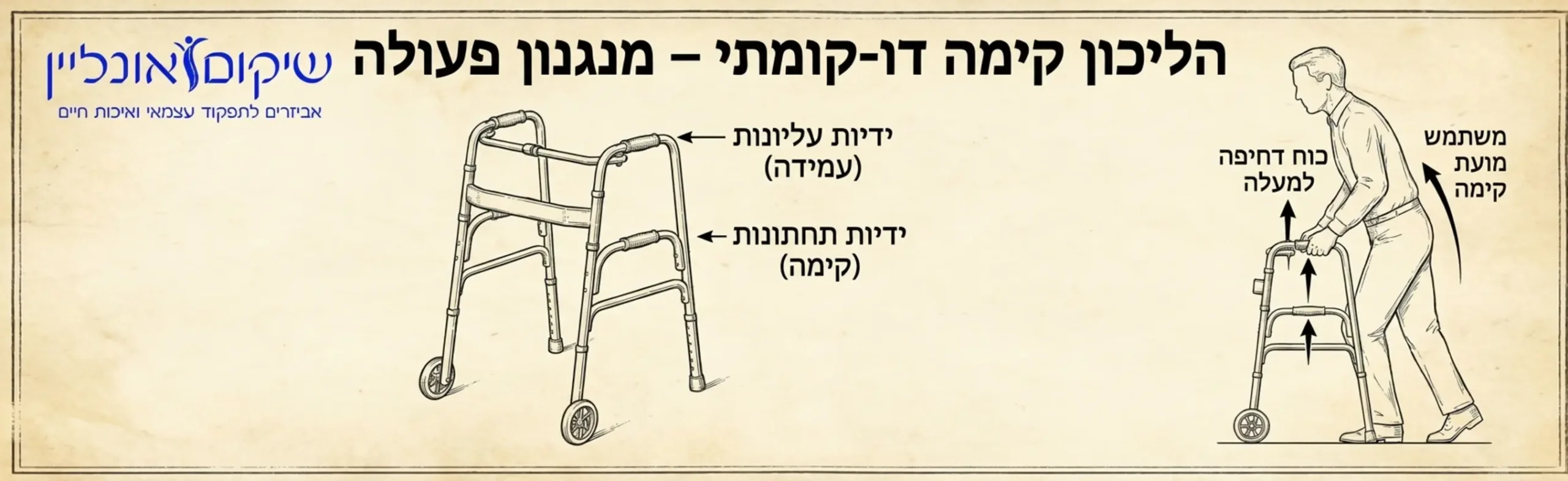 שרטוט הממחיש כיצד פועל הליכון קימה בעל שתי קומות של ידיות וכיצד המשתמש דוחף את עצמו מעלה בעזרת הידיות התחתונות