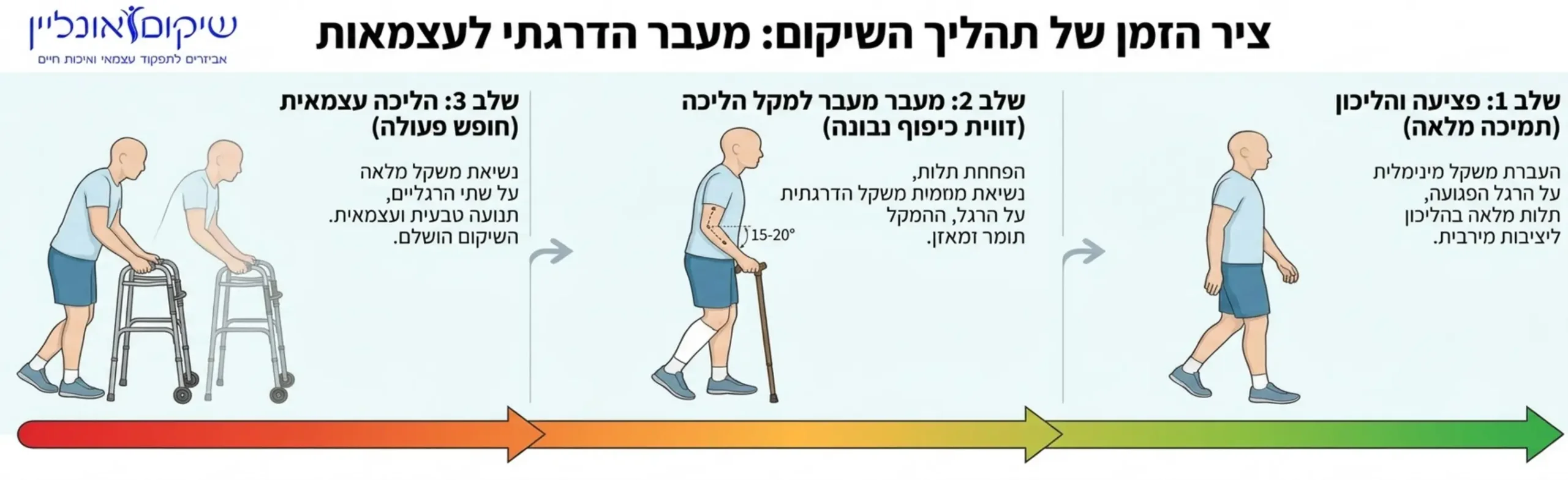 אינפוגרפיקה המציגה את ציר הזמן של תהליך השיקום, משלב הפציעה והשימוש בהליכון עם תמיכה מלאה בציור של דמות הנשענת על הליכון, דרך מעבר למקל הליכה עם זווית כיפוף נכונה ביד, ועד להליכה עצמאית חופשית, כולל הסברים קצרים בעברית על חלוקת עומסים בכל שלב