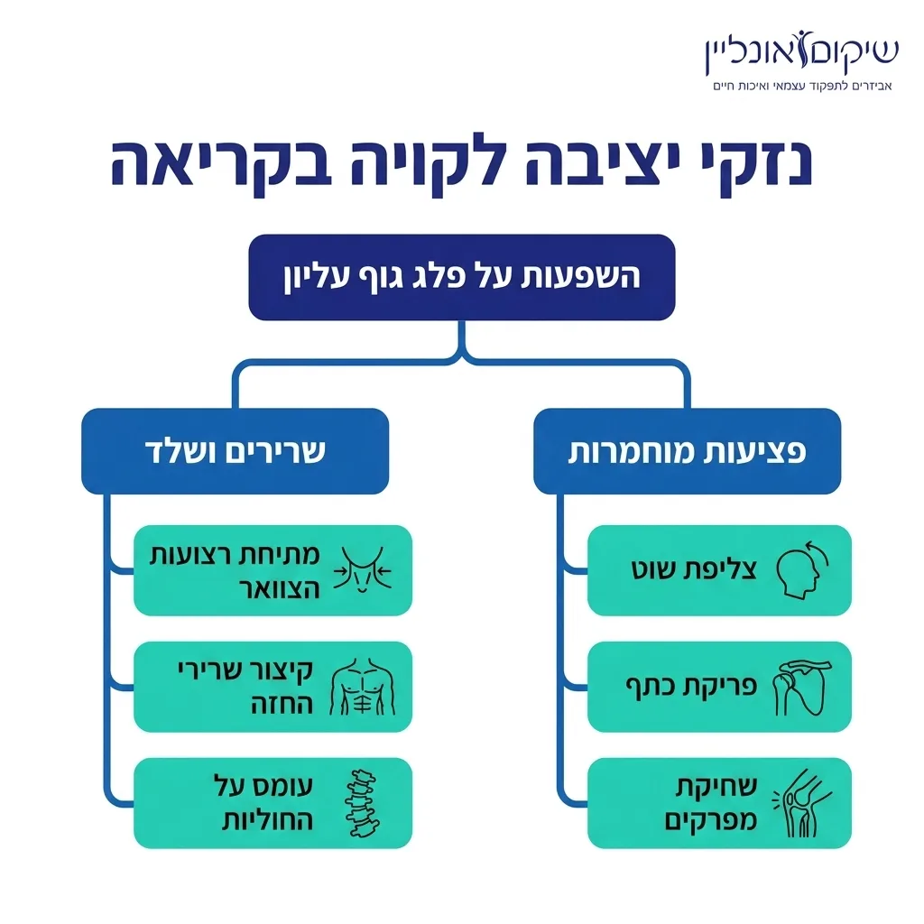 אינפוגרפיקה — נזקי יציבה לקויה בקריאה: השפעות על פלג גוף עליון